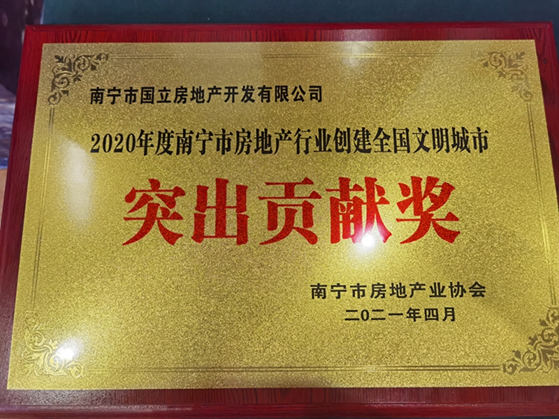 國立公司榮獲“南寧市房地產(chǎn)行業(yè)創(chuàng)建全國文明城市突出貢獻(xiàn)獎”.jpg