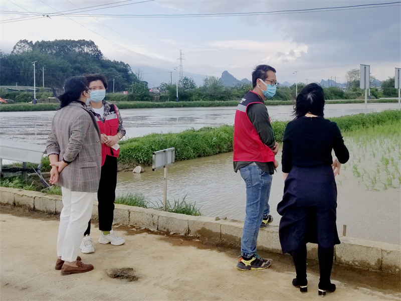 赴大米種植基地調(diào)研（羅茂堅攝）.jpg